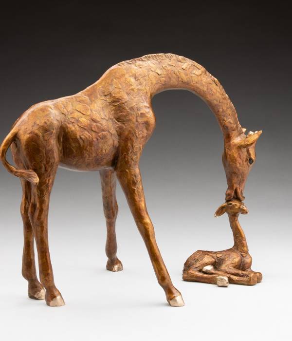 First Kiss, mama & baby girafee