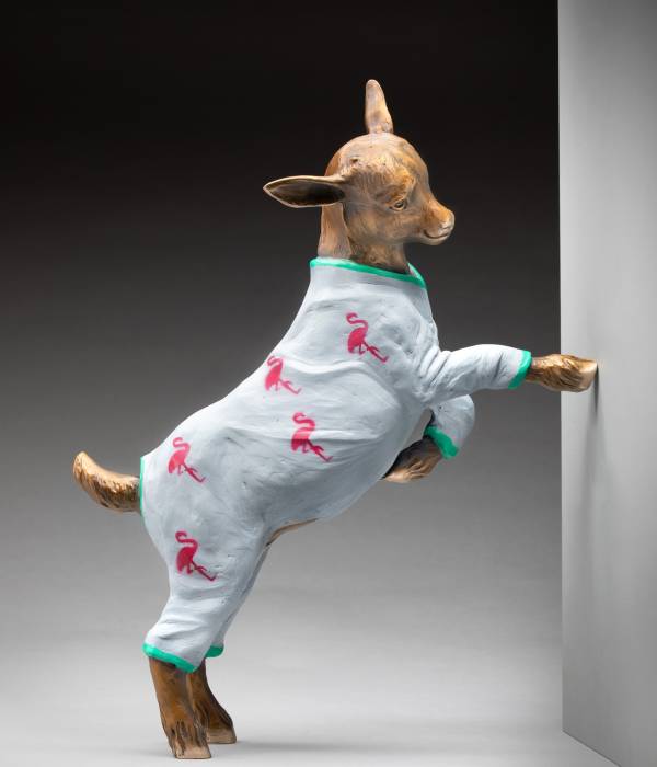 Flamingoat