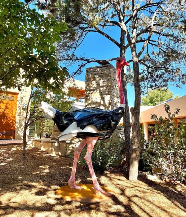Ostrich
