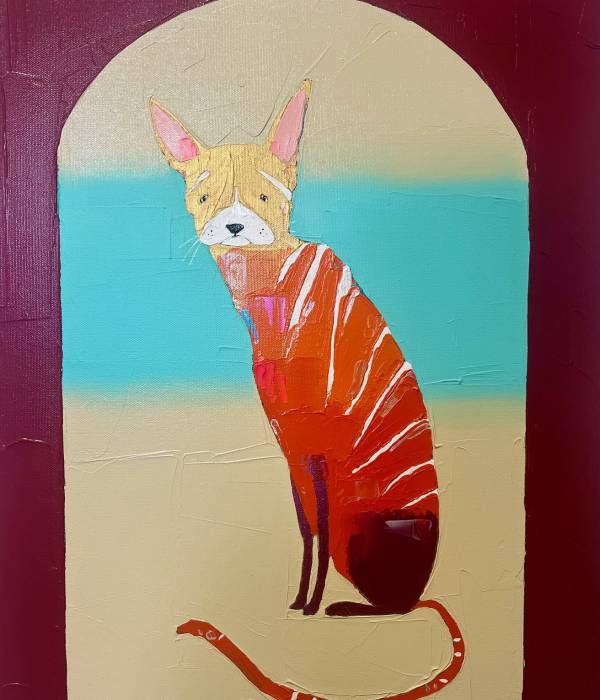 Ombre Kitty