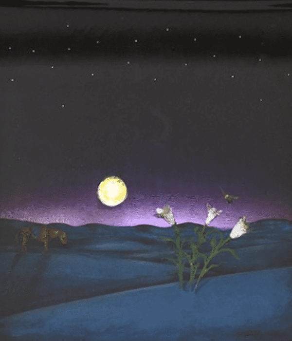 Commanche's Long Night