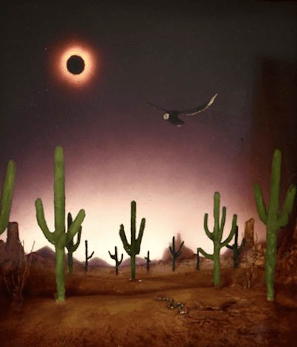 Geronimo's Last Eclipse