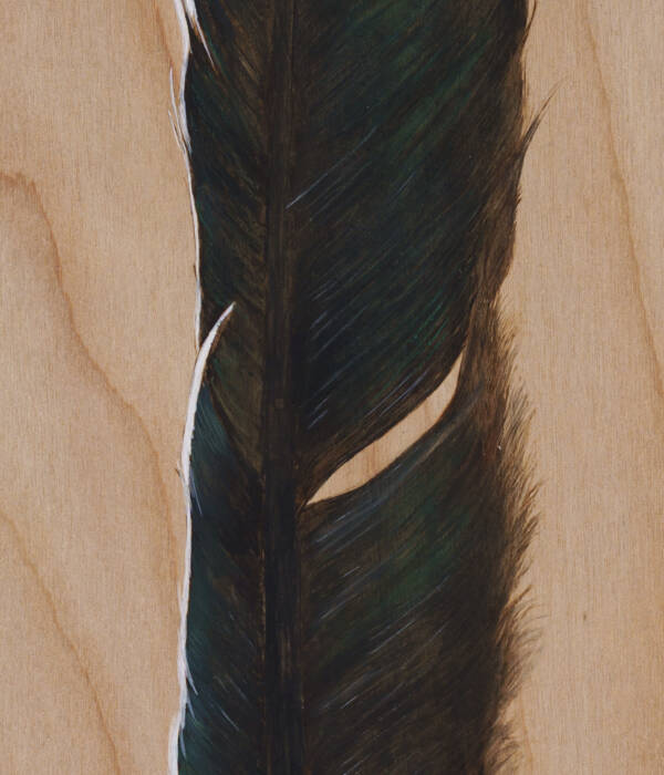Lucky Tail Feather
