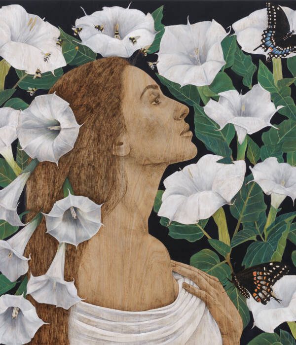 Datura Divinity