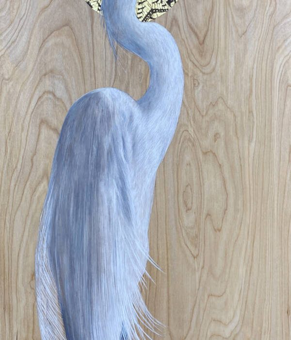 My Egret Guide