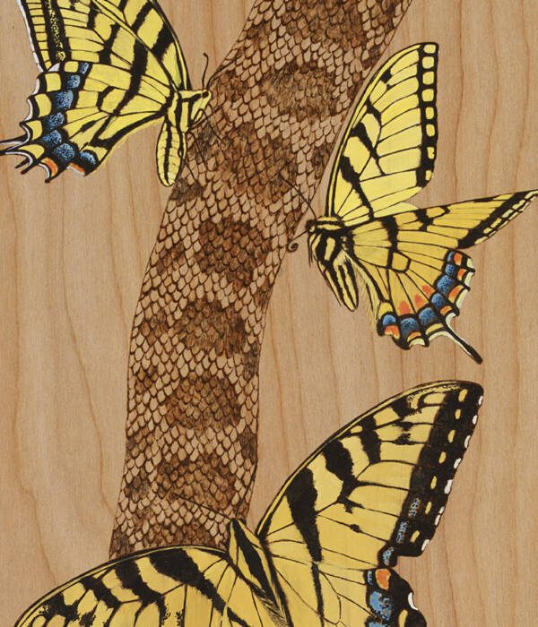 Serpentine Metamorphosis
