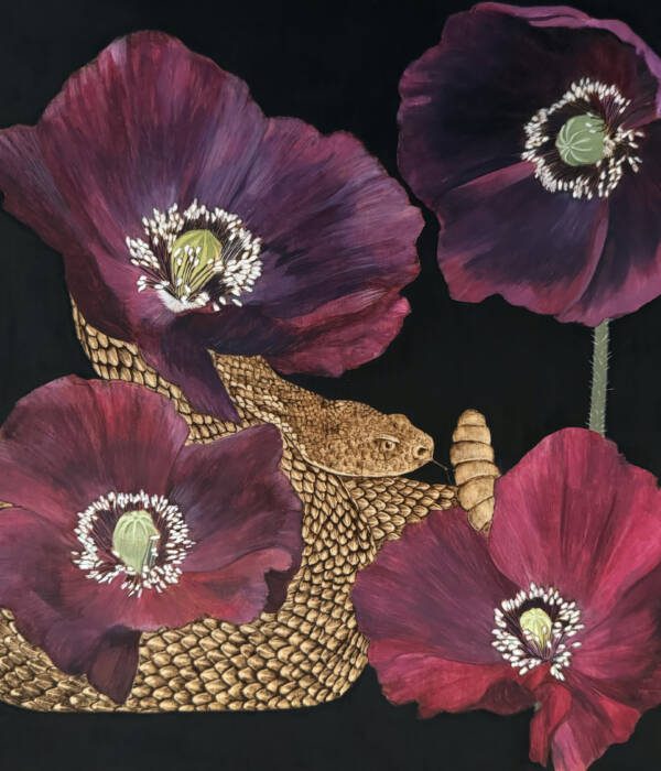 Black Bloom