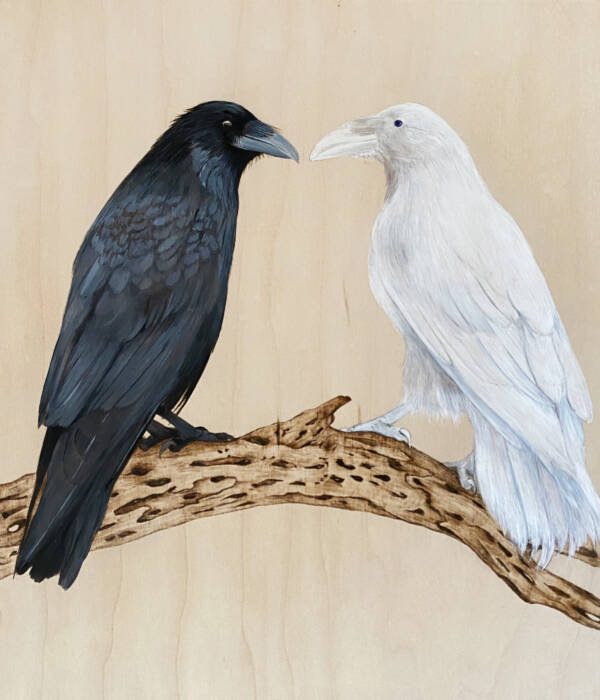 Shadow Versus Persona