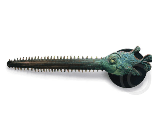 Sawfish